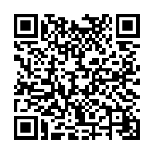 他有些后悔当初派张陟去寻找突破陈仓机会的军令二维码生成