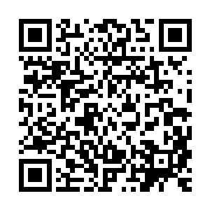 他有听父亲说过今天会有位白兰・杰索作为交换生来自己家借宿二维码生成