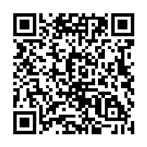 他有点自己那位高深莫测的雇主为什么重视这个男人二维码生成