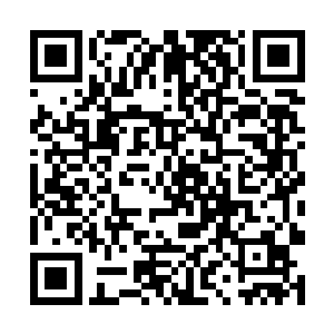 他未来的敌人根本就不知道叶莫会成为他真正的对手二维码生成
