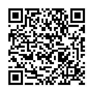 他本以为自己一直都在罗明江设计的轨道上慢慢推进二维码生成