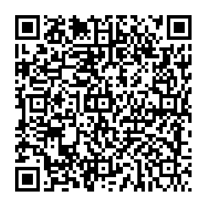 他本以为自己可以轻松击杀秦方的……哪怕是秦方身怀真龙神铠这样强防御的铠甲也不会改变结果的二维码生成