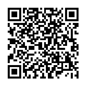 他本来就较常人快很多的反应能力又提升了一大截二维码生成