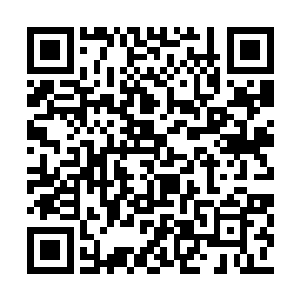 他杨庆宁愿拿两个袁正昆换一个苗毅这样的手下二维码生成