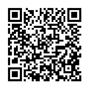他根本就没有可能用灵魂力量将他们给召唤出来二维码生成