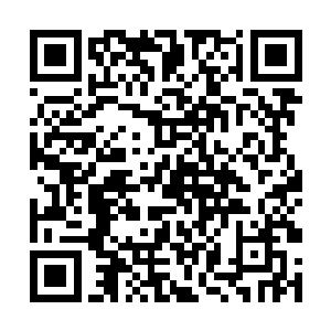 他根本没有想到激发的巨剑连蜈蚣的毛皮都没有碰到二维码生成