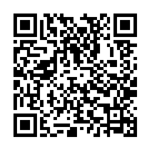 他正是吞噬了那么多修士的精魄后才有如今的灵智二维码生成