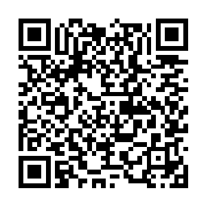 他此时已经知道古族为什么会那么想要进行祭祀了二维码生成
