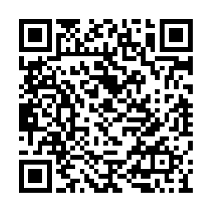 他此行不过是找个借口过来更我们见上一面罢了二维码生成