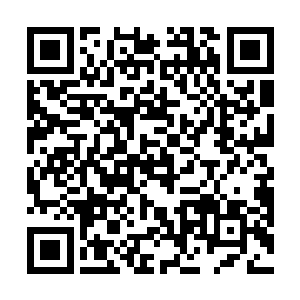 他没想到自己在这个地方竟然找到了最后一块天碑碎片二维码生成