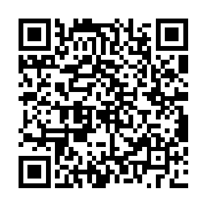 他没想到苏凡竟然可以这么轻易的从西门世家将龙王救出来二维码生成