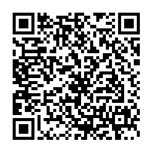 他没有想到白猿老人居然会以这样子的方式来进入到他的大脑之中二维码生成