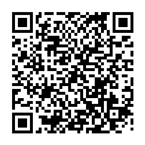 他没有想到这个小男人居然能够破解的出自己和自己两个胞弟之间的秘密信号二维码生成