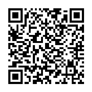 他没有把拯救中医的重任过多的寄予在其它的人身上二维码生成