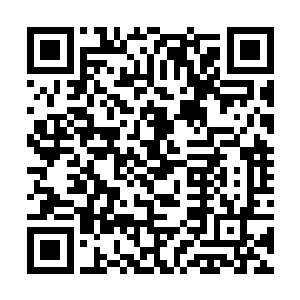 他波为什么要去瓦留那里拿到了他贴身携带的宾果包二维码生成