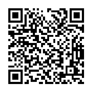 他派去保护洛悠悠的那些人也算是一等一的高手了二维码生成