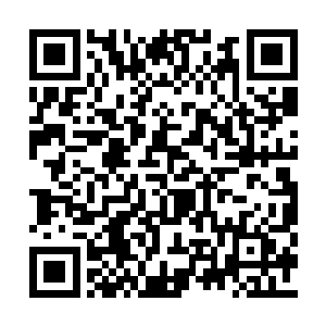 他猜想出赤冠雕很可能是妖兽森林内的赤冠神雕二维码生成