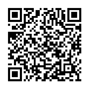 他现在也能不借外物就能单凭血脉之力释放出来二维码生成