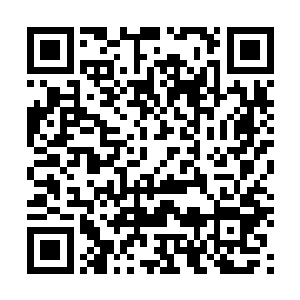 他现在只能希望碰到夏天的时候让夏天逼五行鬼同时出手二维码生成