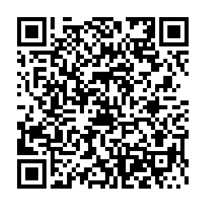 他现在后悔当初拿到那块中央一点红的晶石没有想到询问一下指南二维码生成