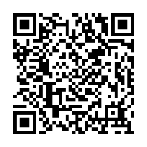 他现在已经非常讨厌那些乱七八糟的证件牌号了二维码生成
