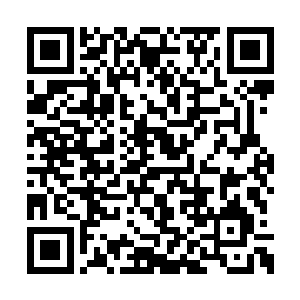 他现在恨不得将夏天的骨头一根接着一根的拆掉二维码生成