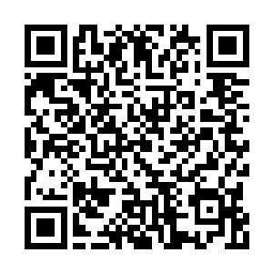 他现在才明白自己挖出来扔掉的东西意味着什么二维码生成
