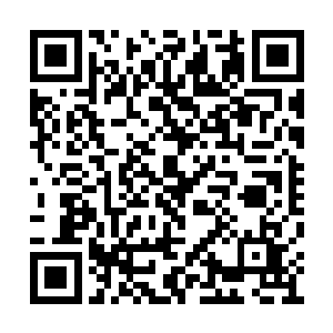 他现在生怕玉清落带着南南离开他的眼皮子底下二维码生成