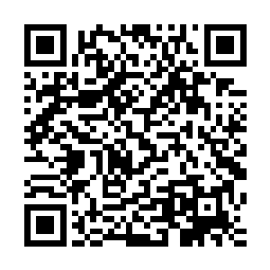 他现在真的后悔选择在这个时候对轩辕皇族出手了…早知如此二维码生成