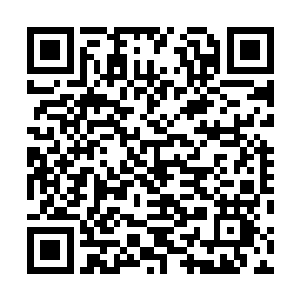 他甚至不清楚除了飞过去还有什么别的方法能抵达灵兽岛二维码生成