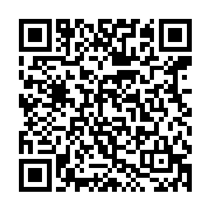 他甚至可以用圣光的波动来感知学徒们的天赋和品行二维码生成