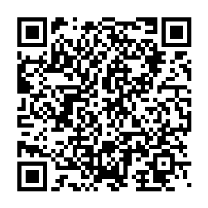 他甚至建议陆为民是不需要换一辆更舒适更豪华一些的陆地巡洋舰二维码生成