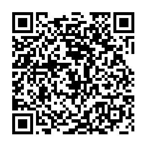 他甚至开始怀疑自己当初到底怎么会为了叶王氏而冷落自己的发妻二维码生成