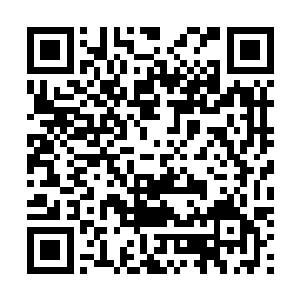 他甚至想过代替伊诺斯承受因为他给她带来的痛苦乃至死二维码生成