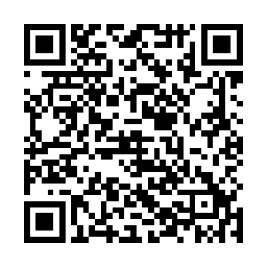 他甚至没时间去像其他穿越小说里的主角一样谈情说爱二维码生成