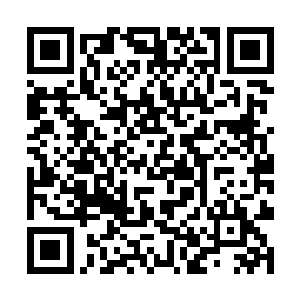 他甚至知道该如何找到那座深藏在海底下的熔岩宫殿二维码生成