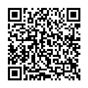 他甚至能闻到骨石兽呼出的带着血腥气味的气息二维码生成