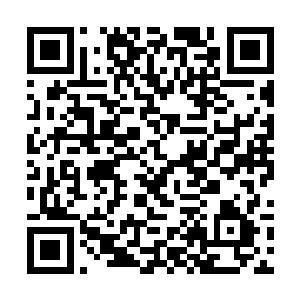 他甚至隐隐可以感受到纳兰雪手臂上传来的淡淡体温二维码生成