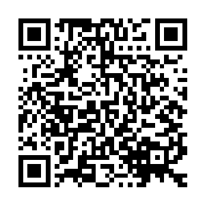 他用尽了多大的自制力才勉强让自己控制住了想要抱小主子的欲二维码生成