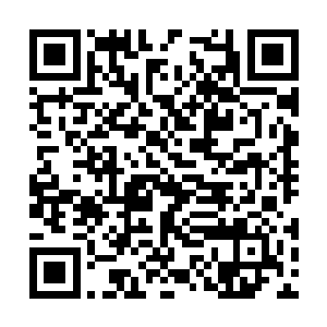 他白衣谋士的地位就会在宁王身边立时掉落一级了二维码生成