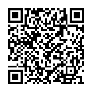 他的两条手臂就被马文生生用狩猎弯刀砍了下来二维码生成