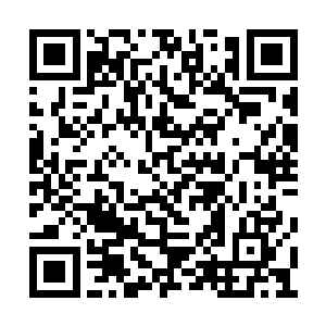 他的人就像是离山剑宗山门前那颗不知名的青树二维码生成