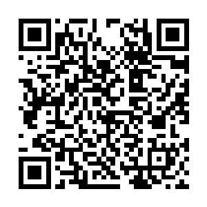 他的助理教练毛里西奥・佩莱格里诺一把抱住了他二维码生成