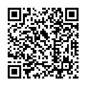 他的实力在近期突飞猛进哪怕是从他崭露头角开始算二维码生成