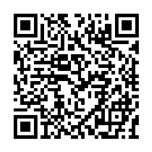 他的师父就是执法堂的那个瘦瘦弱弱的中年汉子二维码生成
