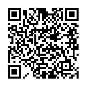 他的心思就放在了解毒上……希望这个毒不是那么难解吧二维码生成