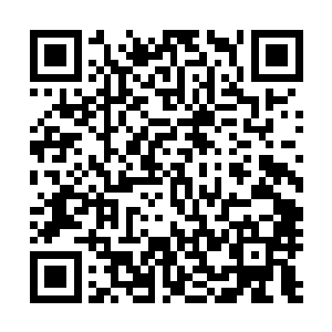 他的心跳对于她来说就像是一种为彼此而活的生命力的宣示二维码生成