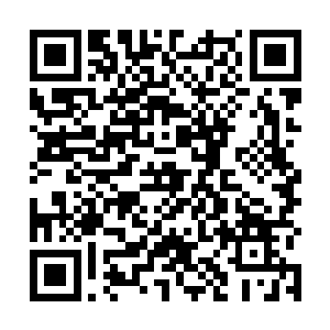 他的思触轻而易举触碰并刺破了这一方虚拟世界的边缘二维码生成