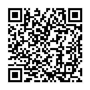 他的战斗力绝对提升到了可以媲美地榜前十实力的阶段二维码生成