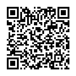 他的所有家当都被梓箐搜刮走了才勉强抵掉那张账单二维码生成